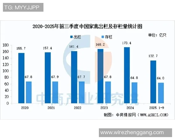 五大联赛五年发展对比数据全景解析全面进化趋势透视